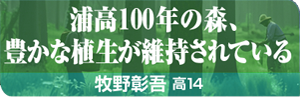 浦高100年の森、豊かな植生が維持されている